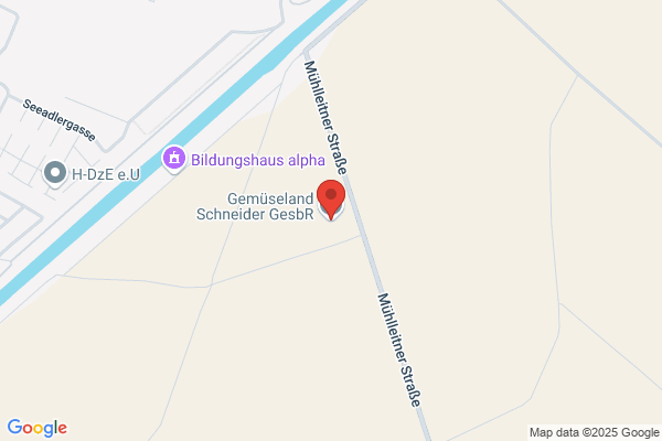 Schneider Josef u. Helene
