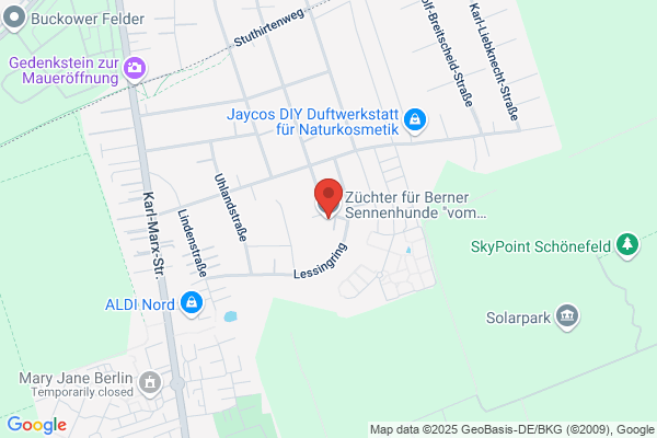 Berner Sennenhunde Zuchtverband Österreich