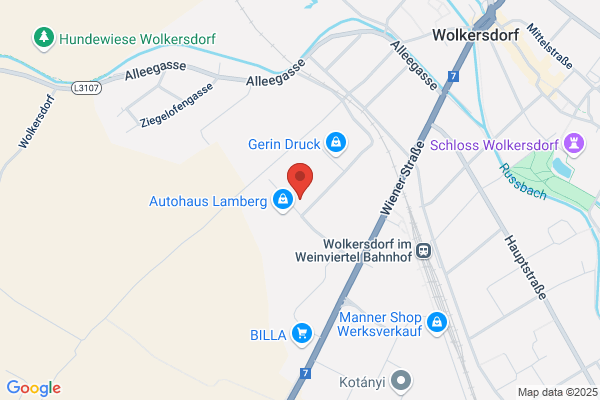 Sport-Sicherheit-Service GmbH