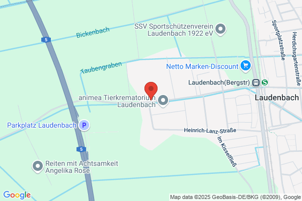 Dotta Handelsgesellschaft m.b.H.