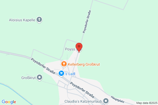 Poyss Gesellschaft m.b.H.