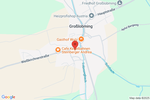 Buecherei d. HWS Schloss Grosslobming