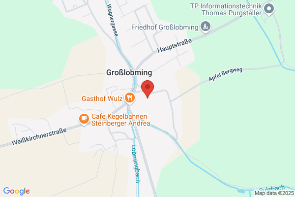Oesterreichring-Inkasso Organisation