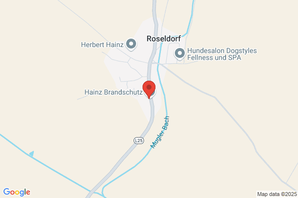 Hainz Brandschutz GmbH