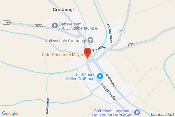 Mayer Karl