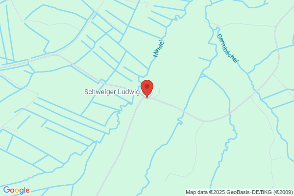 Ludwig Schwaiger