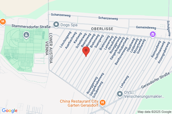 Dipl. Ing. Csitkovics und Co