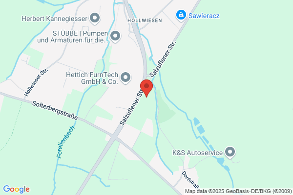 ams Anlagen Maschinen Service GmbH in Liqu.