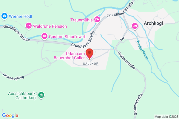 Heinrich Galler