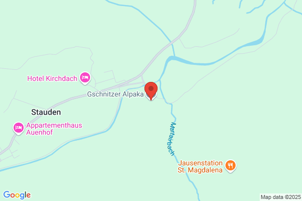 Gschnitzer Alpaka