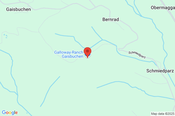 Islaender- u. Galloway- Zuchtbetrieb Zehetner