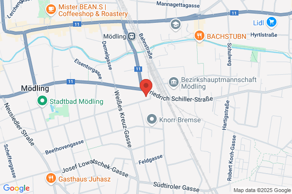 Brawenec und Mohamed Transport OEG