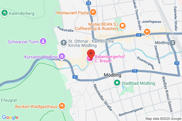 Stadttheater Moedling
