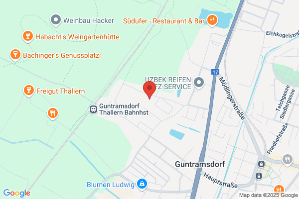 Gausterer Robert - Heurigen u Fremdenzimmer