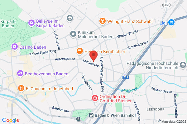 WMS Modell und Technik Ing Wolfgang Murth