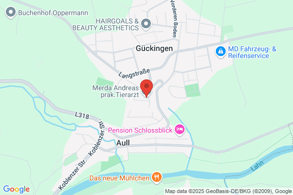 Tieraerzte OEG Dr. Maegdefrau- Pollan und Dr. Friedrich