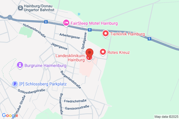 Koppensteiner Lukas Prim Dr