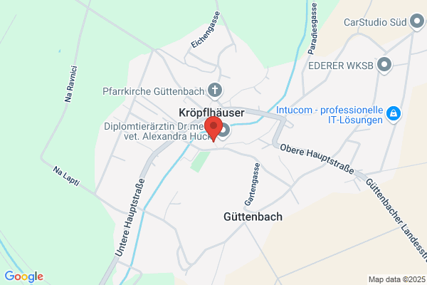 ASV Guettenbach
