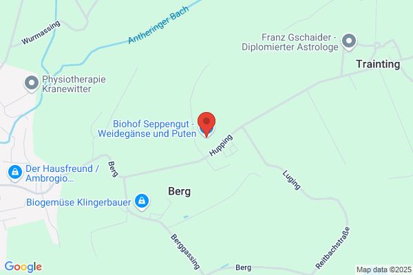 Biohof Seppengut - Weidegänse und Puten
