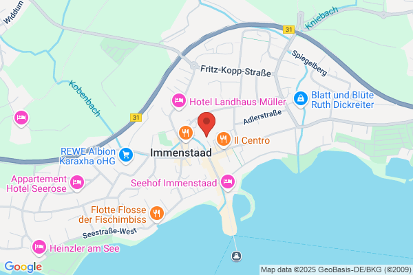 Alois Rauber