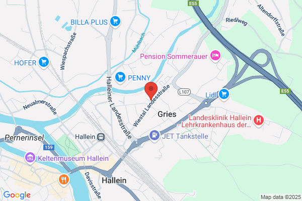Reinmueller Alfons Josef Ing
