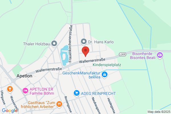 Walter Koppi