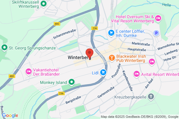 Snowboardsch. Surfmania - Mag Beyer staatl gepr Dipl- Snowboardlehrer u Schilehrer