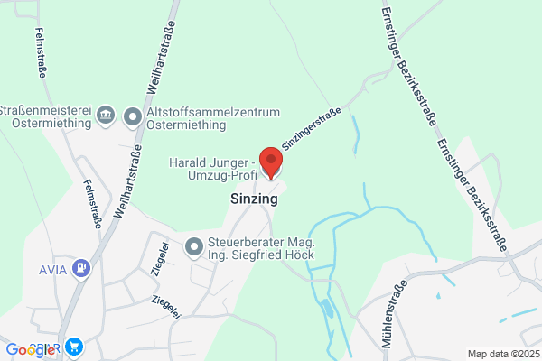 Umzug-Profi