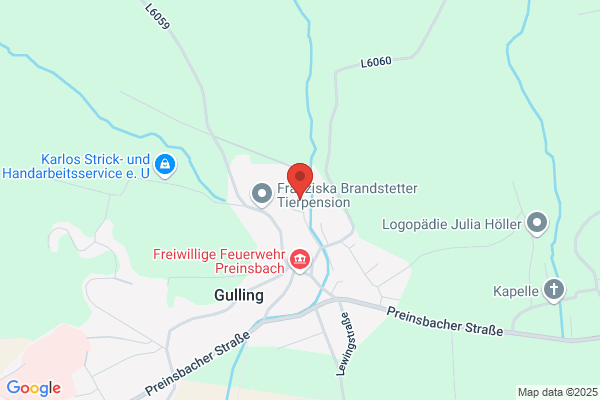 Braunshofer Arbeitsbühnen GmbH