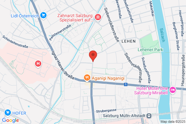 Elfriede Wabnegg