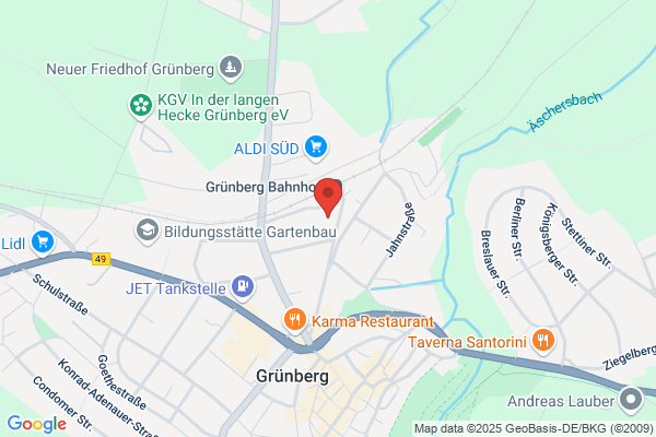 Allmedinger
