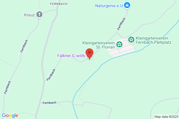Falkner G`wölb