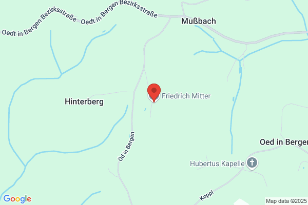 Friedrich Mitter