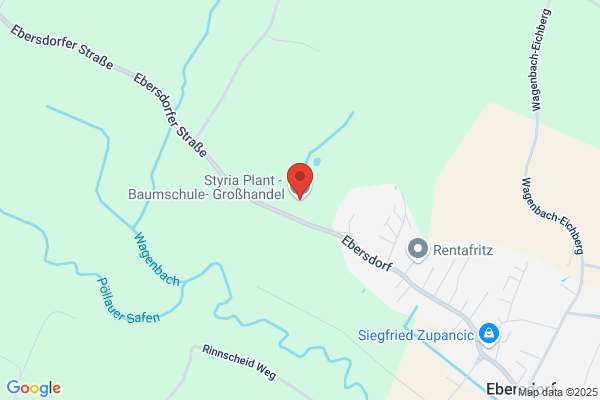 Styria Plant - Baumschule- Grosshandel