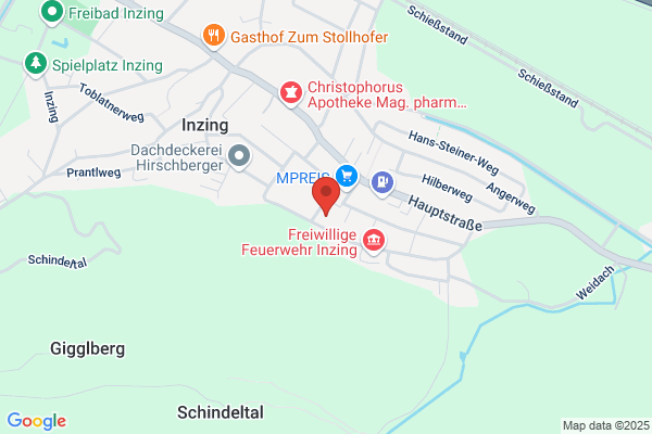 Betriebswirtschaft u Informationstechnologie- Dr Gerhard A Kainz KEG