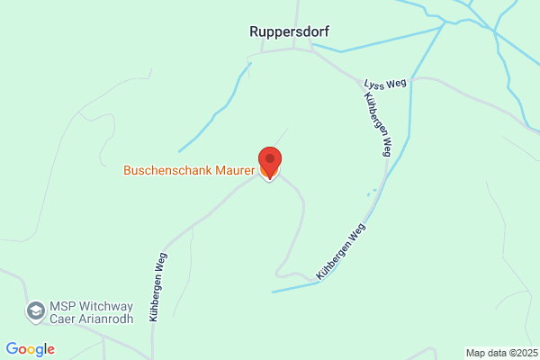 Friedrich Maurer