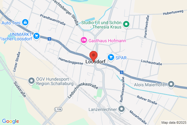 Blumen Schlögl