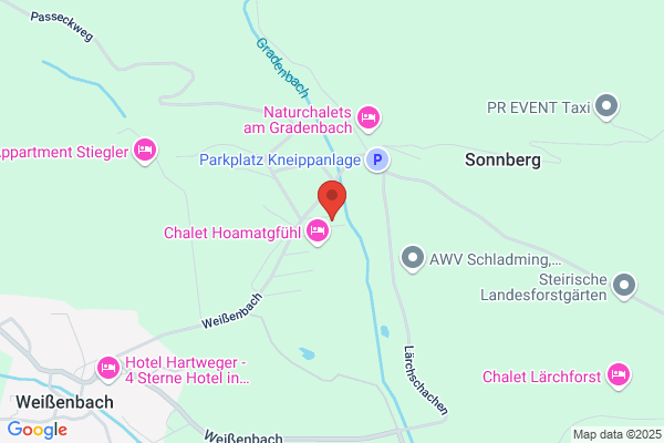 Taxi Schischule Schneider - Brandner