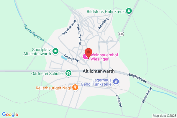 Anton Schleining