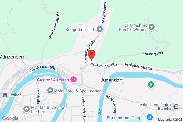 Trachtenverein Steirer