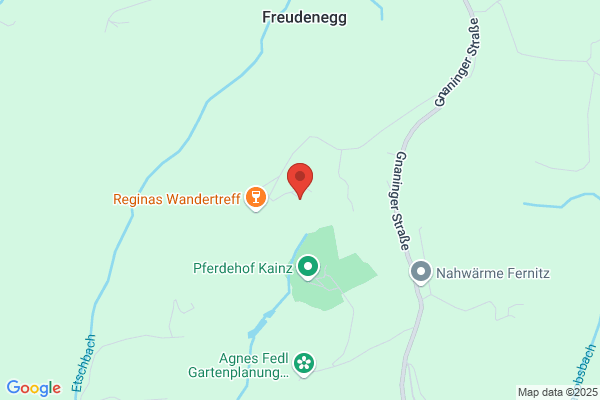 SV Fernitz W. Stingl