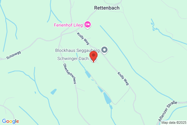 Schwinger- Dach Gesellschaft mbH
