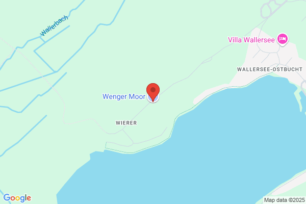 Gecmen-Waldek Vincenz