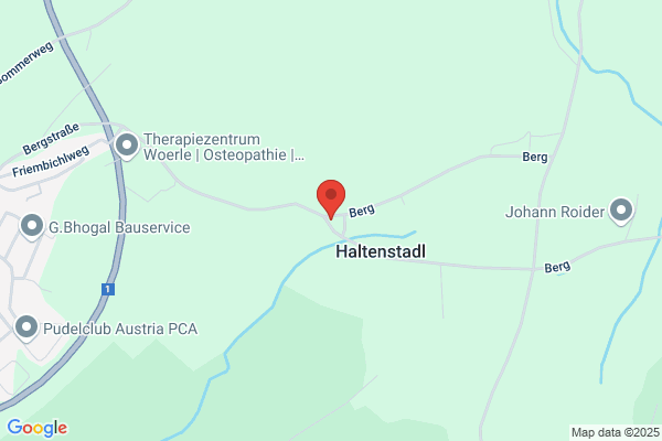 Malermeister Thomas Holzer