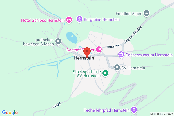 Wr. Neustadt 2000