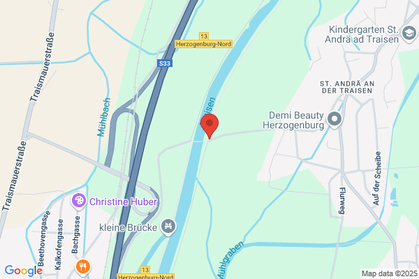 Riesenhuber