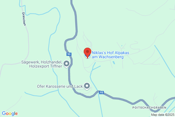 Niklas's Hof Alpakas am Wachsenberg