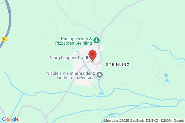 Siegfried Puggl