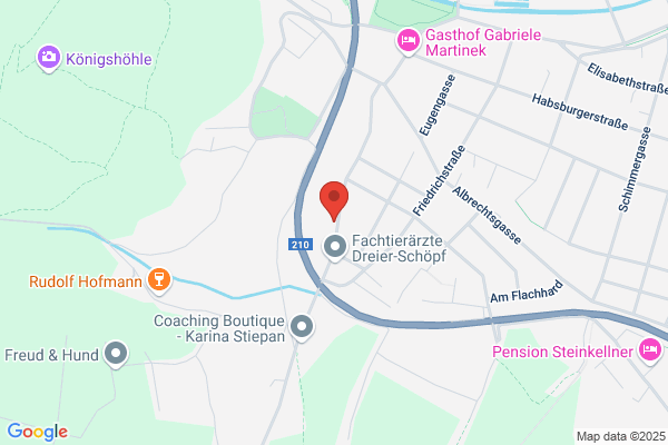 CONSPRAX Beratungs- u Handels GmbH