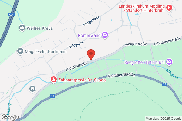 Packfrieder Wirtschaftstreuhand Ges.mbH